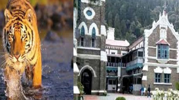 कोर्ट ने मुख्य सचिव को कहा 24 घंटे में दाखिल करें शपथ पत्र 1 Hello Uttarakhand News »