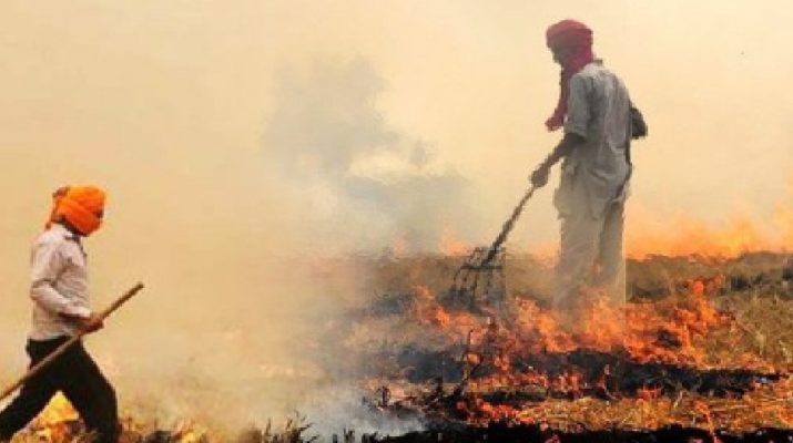 देहरादून: अब पराली से धुंआ नहीं कंपोस्ट खाद का होगा उत्पादन, इन राज्यों में रंग ला रही मुहीम.. 1 Hello Uttarakhand News »